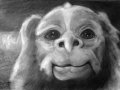 c_1235900004639_Falcor_by_LilleahWest.jpg